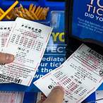 check my ticket lottery